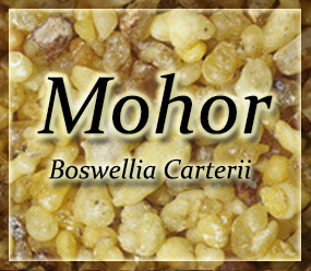 Frankincense Resin - Mohor Frankincenese - Boswellia carterii