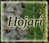 Frankincense Resin -Hojari - Boswellia Sacra